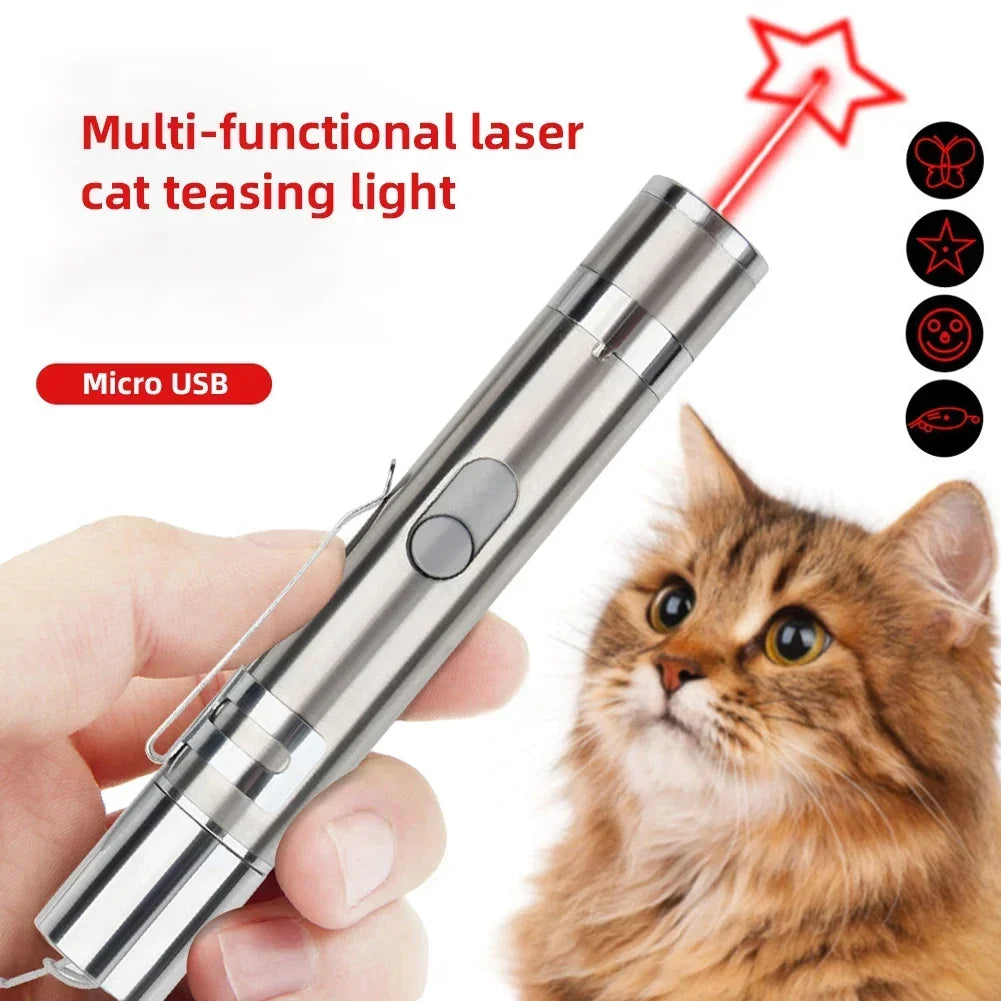 Rechargeable Cat Laser Toy