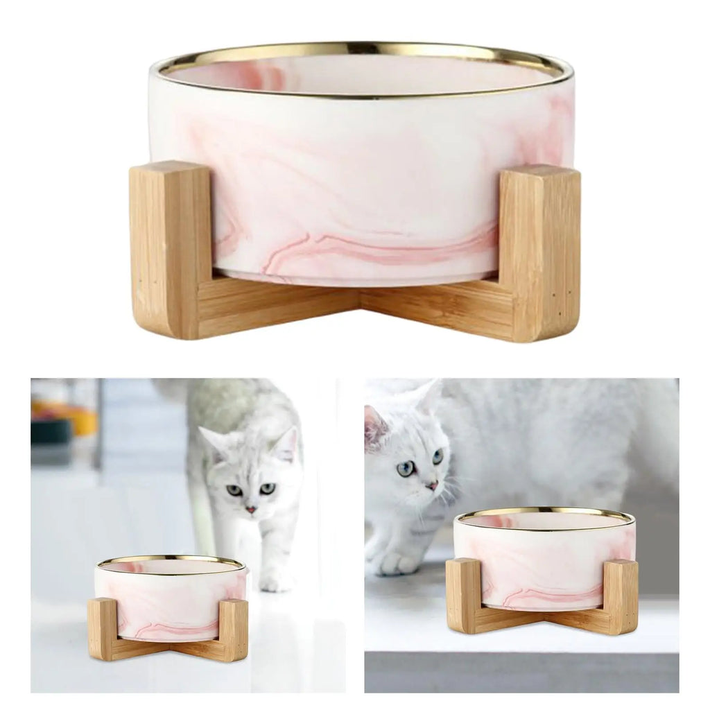 Elevated Ceramic Cat Bowl Set — Food & Water
