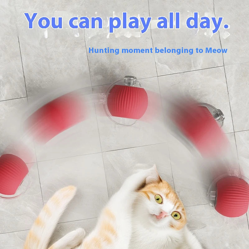 Automatic Rolling Cat Toy Ball