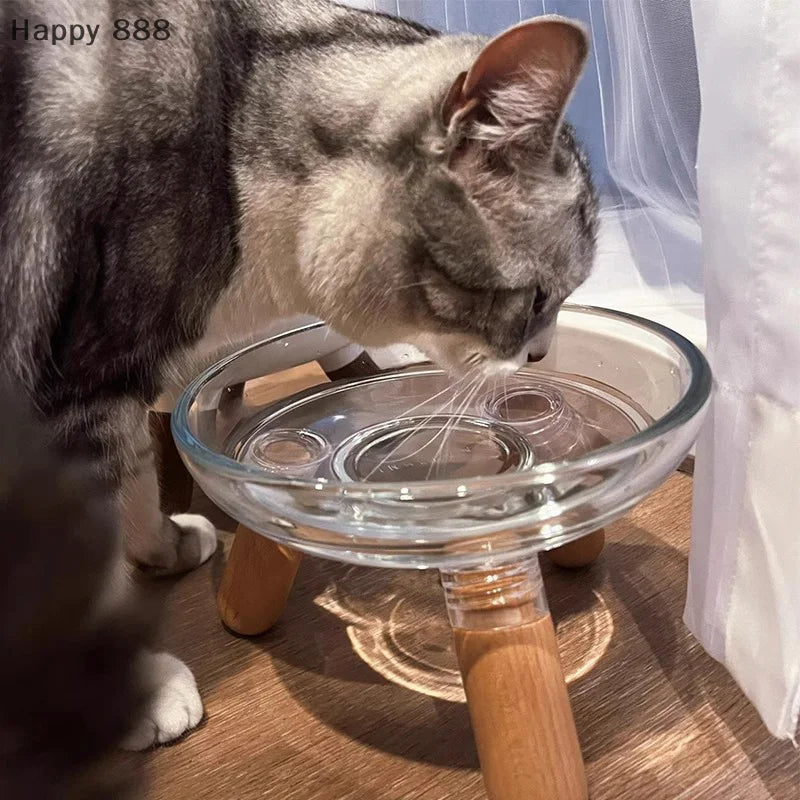 Elevated Transparent Cat Bowl