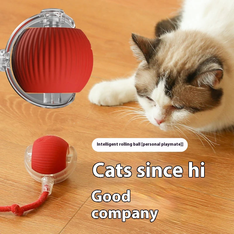 Automatic Rolling Cat Toy Ball