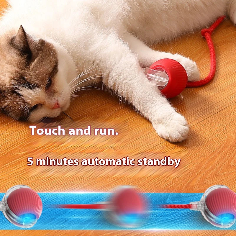 Automatic Rolling Cat Toy Ball