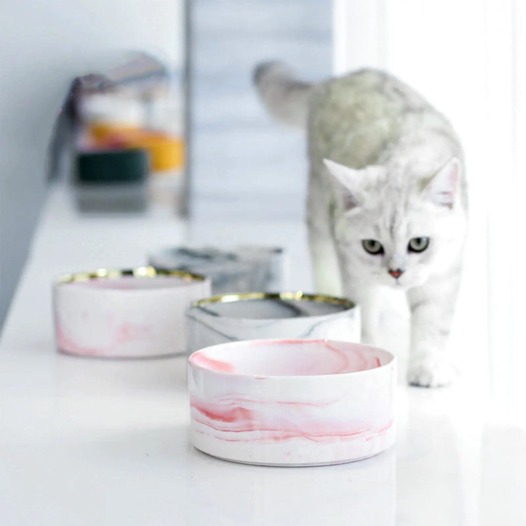 Elevated Ceramic Cat Bowl Set — Food & Water