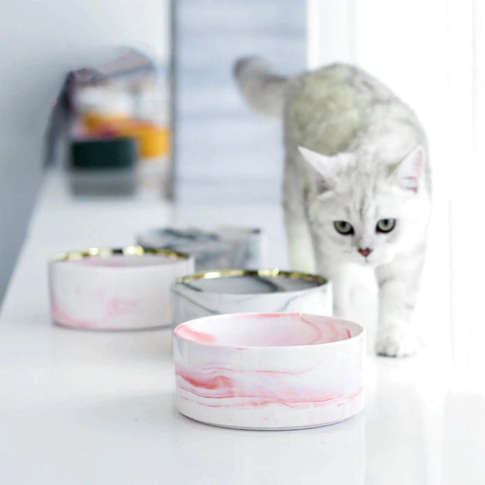 Elevated Ceramic Cat Bowl Set — Food & Water