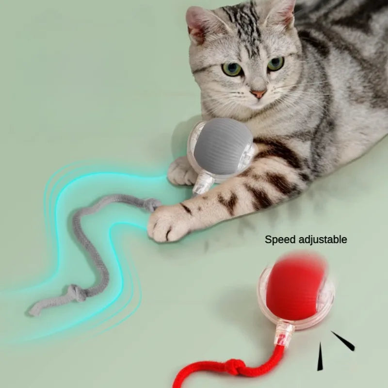 Automatic Rolling Cat Toy Ball