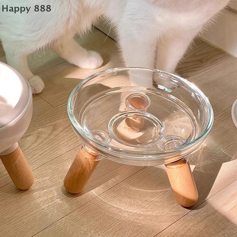 Elevated Transparent Cat Bowl