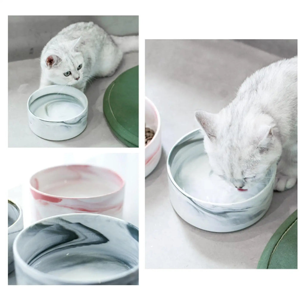 Elevated Ceramic Cat Bowl Set — Food & Water